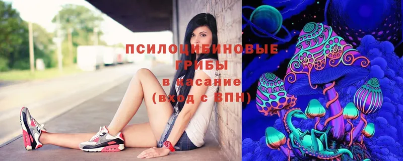 Псилоцибиновые грибы Magic Shrooms  mega вход  Вельск 